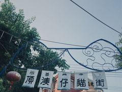 -猫咪博物馆(顶澳仔猫街店)