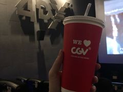 -CGV影城(壹方城IMAX店)