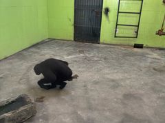 -石家庄市动物园