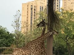 -南昌动物园