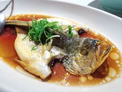 -金美华轩(东方路齐鲁店)