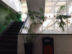 -太平老街-前行美术馆