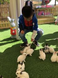 -萌宠亲子动物乐园(槐房万达店)