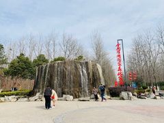 -合肥滨湖国家森林公园