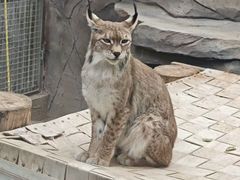 -青藏高原野生动物园
