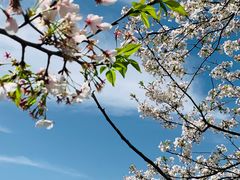 -东山风景区(洞庭东山)