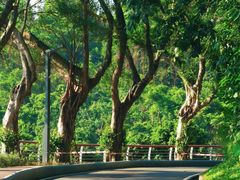 -求水山公园