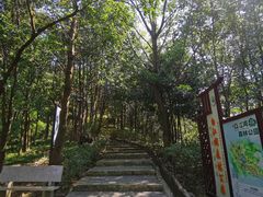 -广州白江湖森林公园