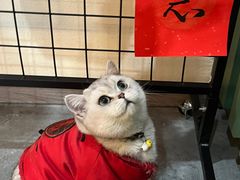 -麦谷 Mago Cafe
