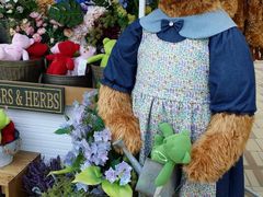 -济州岛泰迪熊博物馆