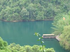 -鼎湖山风景区