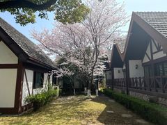 -太阳岛度假酒店