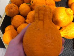 -盒马鲜生(顺义店)