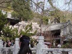 -潭柘寺景区