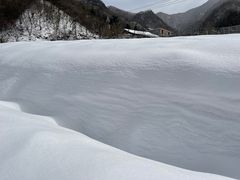 -秦岭风景区