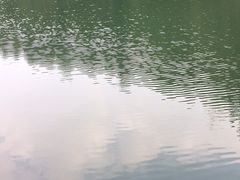 -石塘人家