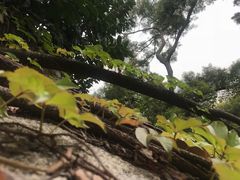 -鸿山公园