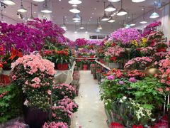 -Wagas沃歌斯(汇智店)