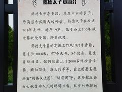 -懿德太子墓