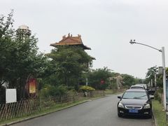 -华西村