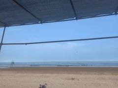 -日照海滨国家森林公园