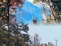 -神农架景区