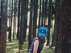 -玉苍山国家森林公园