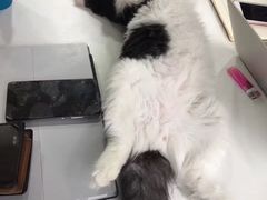 -好面道大肠面(中华路店)