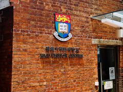 -香港大学