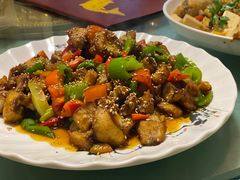 -煲来饱去冷水鱼