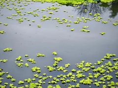 -涞滩古镇