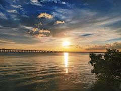 -宝安西湾红树林湿地公园