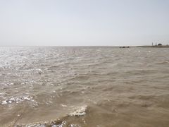 -哈素海