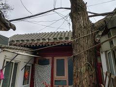 -北京国子监胡同