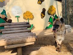 -北京野生动物园