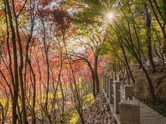 -崂山巨峰游览区