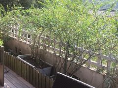 -兰桂坊·花园餐厅(西湖店)