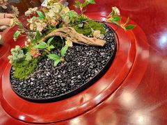 -仙林宾馆-餐厅