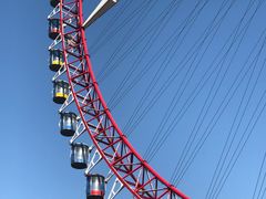 -哈尔滨文化公园