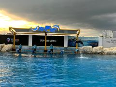 -三亚海昌梦幻海洋不夜城