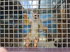 -泉州海丝野生动物世界