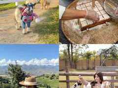 -栖露营camping·天幕烧烤·团建拓展·采摘营地