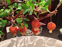 -唐猫庭院·千年陕菜(赛格国际购物中心店)