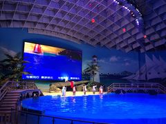 -海合安武汉极地海洋公园