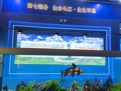 -中国农业博物馆