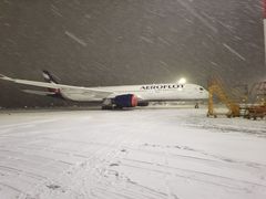 -谢列梅捷沃国际机场