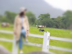 -瑞穗牧场