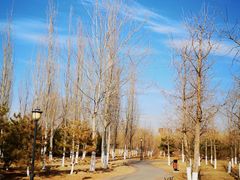 -永定河休闲森林公园