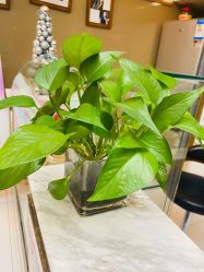 -深圳广和门诊部·整形医疗美容