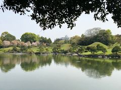 -水前寺成趣园